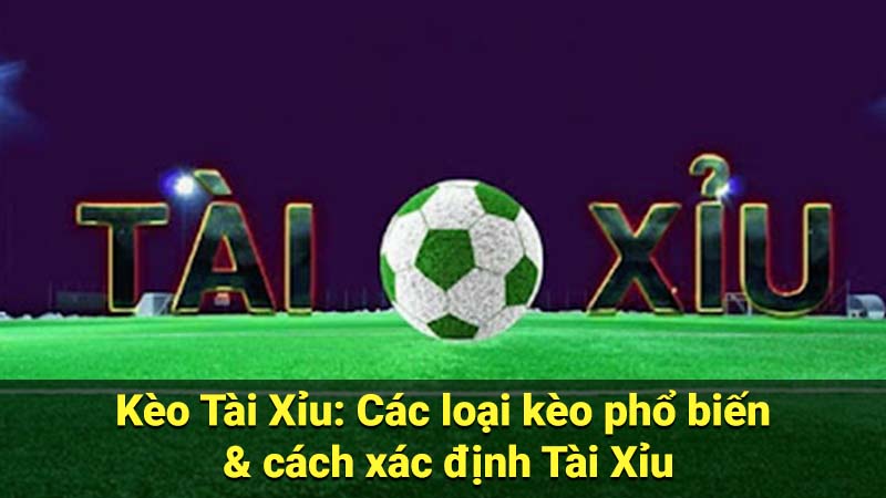 Kèo Tài Xỉu: Các loại kèo phổ biến & cách xác định Tài Xỉu 9 keo tai