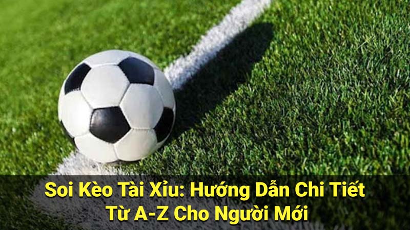 Soi Kèo Tài Xỉu: Hướng Dẫn Chi Tiết Từ A-Z Cho Người Mới 4 soi keo tai